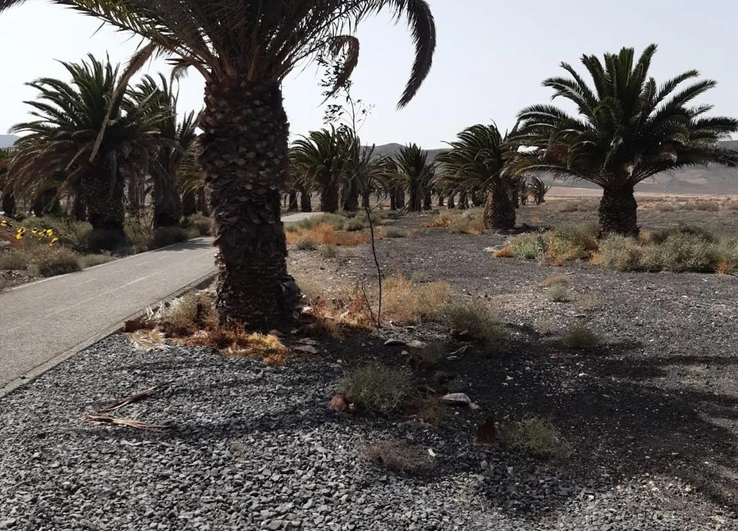 Privatunterkunft Habitaciones Gioly Puerto del Rosario  Spanien